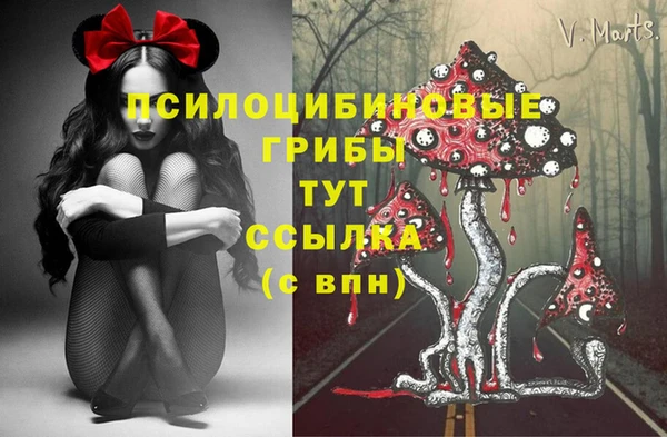 метадон Алексеевка