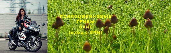 соль ск Алексин